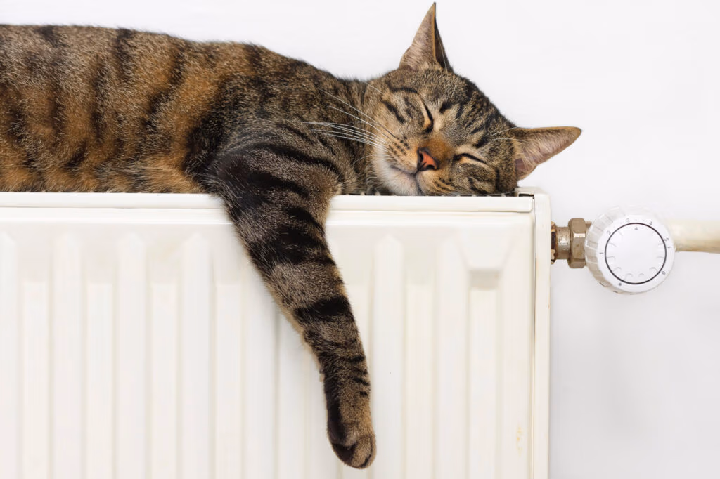 Heating and plumbing